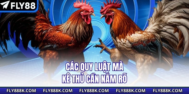 Các quy luật mà kê thủ cần nắm rõ
