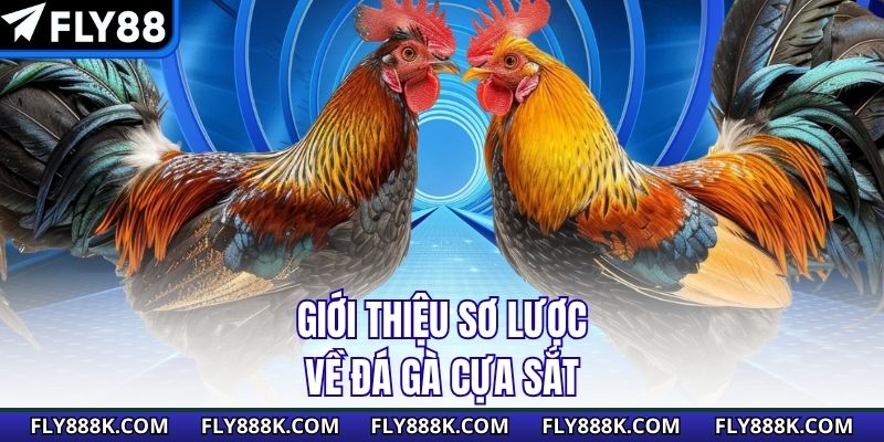 Giới thiệu sơ lược về đá gà cựa sắt